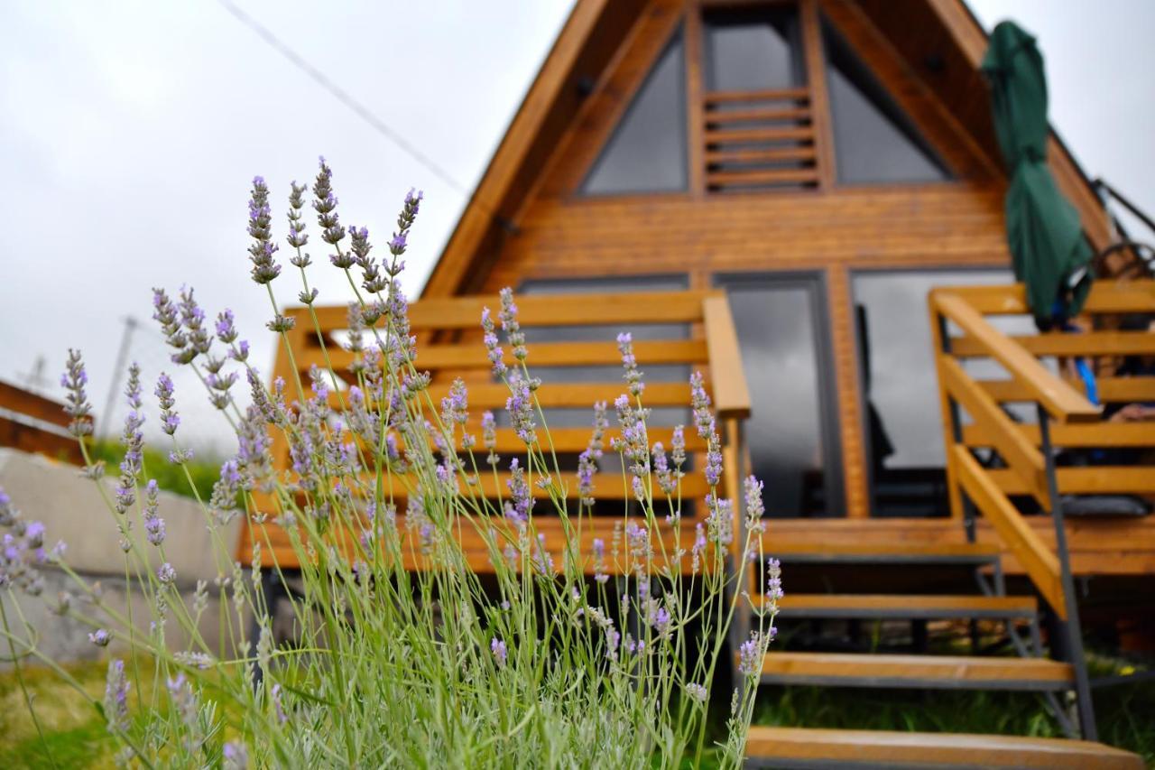 Kazbegi Spa Resort Cottages Extérieur photo
